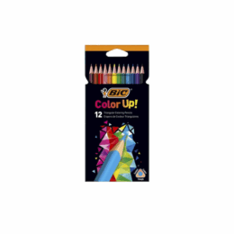 CRAYON COULEUR UP X12 BIC