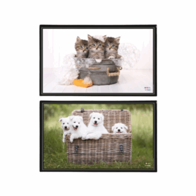 SOUS-MAIN CHIOTS-CHATONS